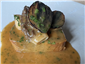 chicken main course